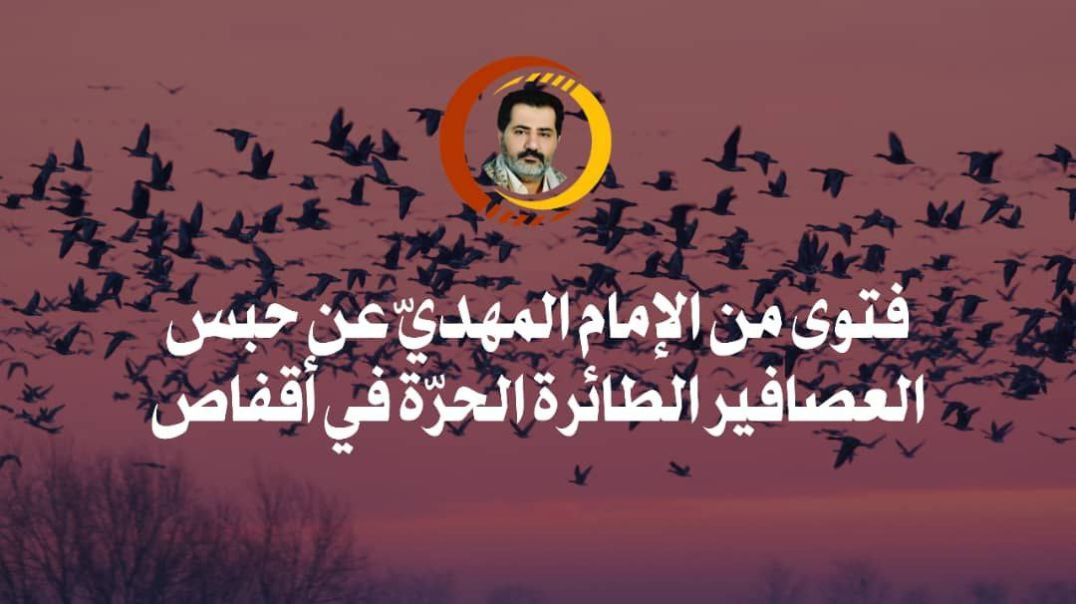⁣فتوى من الإمام المهديّ عن حبس العصافير الطائرة الحرّة في أقفاص ..