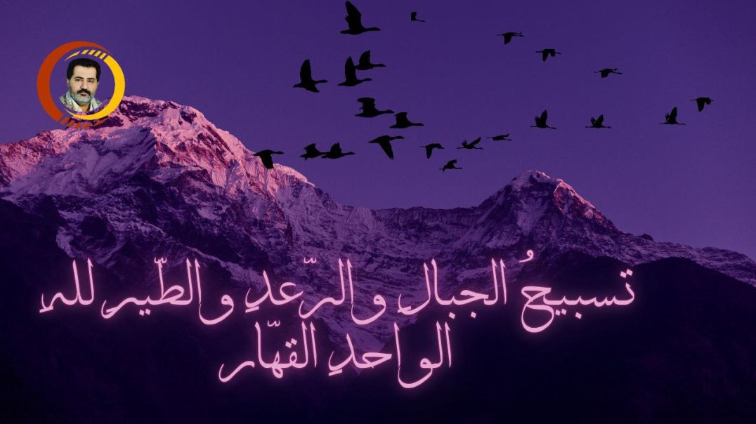 ⁣تسبيحُ الجبالِ والرّعدِ والطّيرِ للهِ الواحدِ القهّار