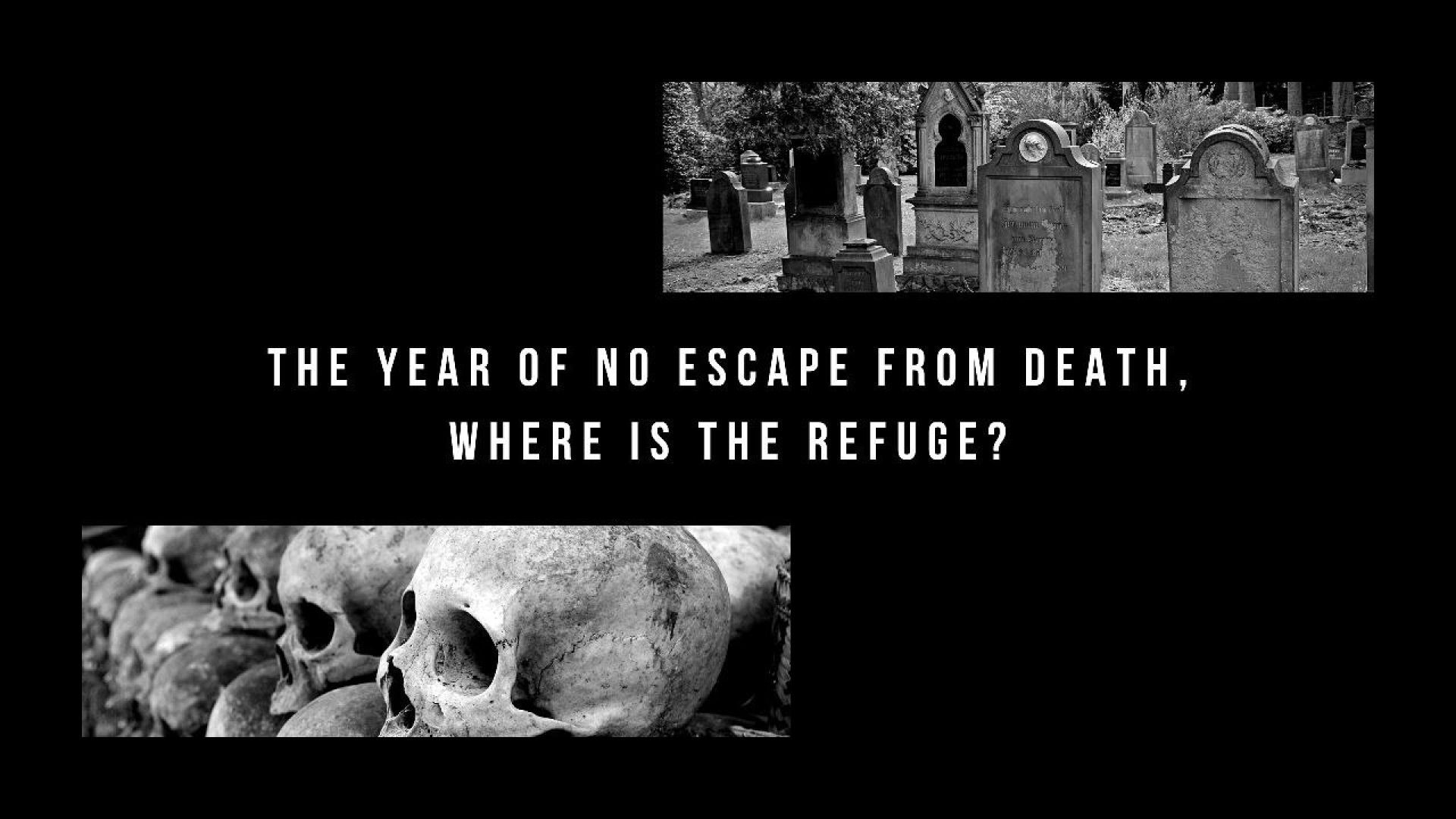 ⁣55- The Year of No Escape from Death, Where is the Refuge?