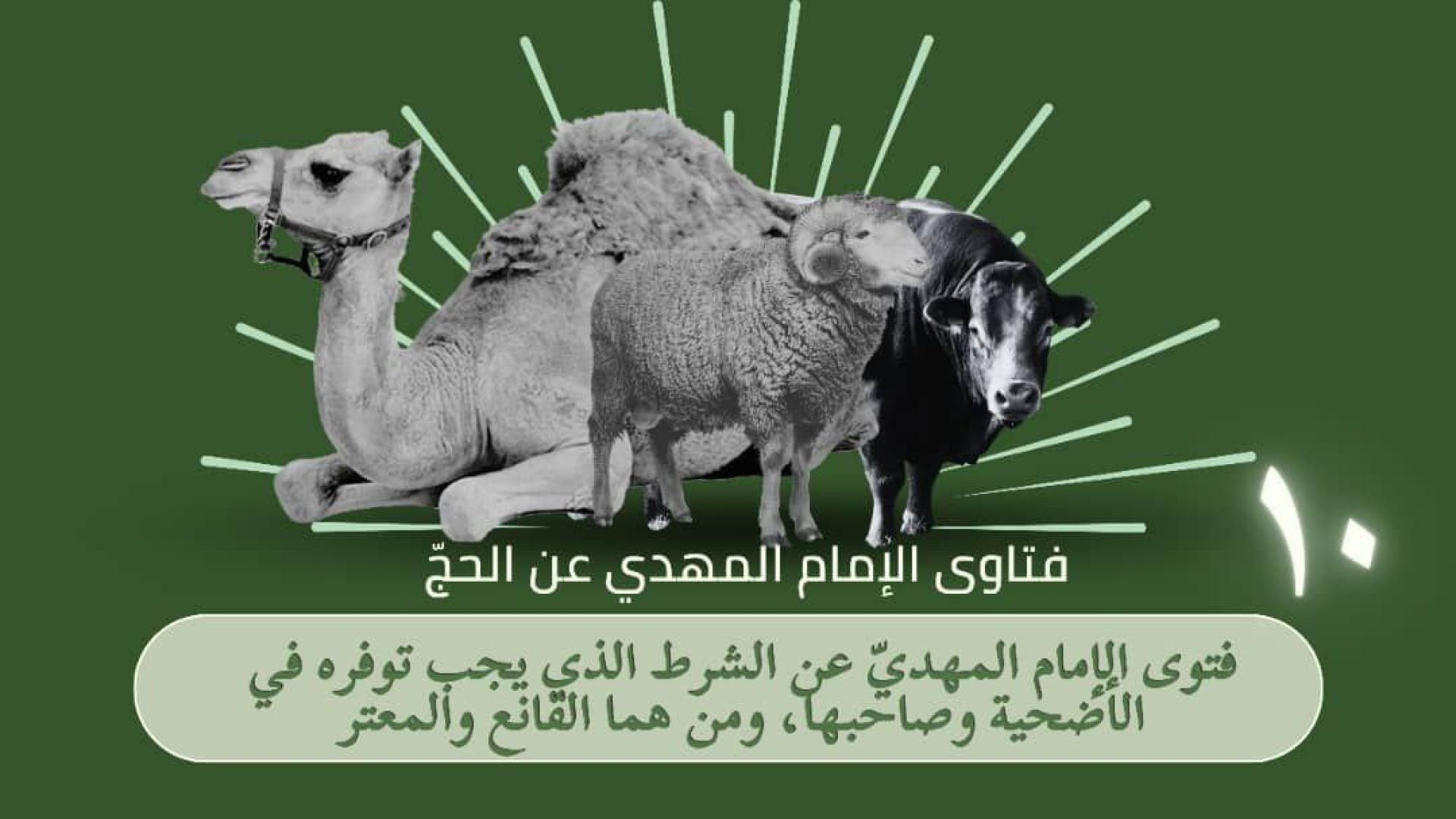 ⁣فتوى الإمام المهديّ عن الشرط الذي يجب توفره في الأضحية وصاحبها، ومن هما القانع والمعتر ..