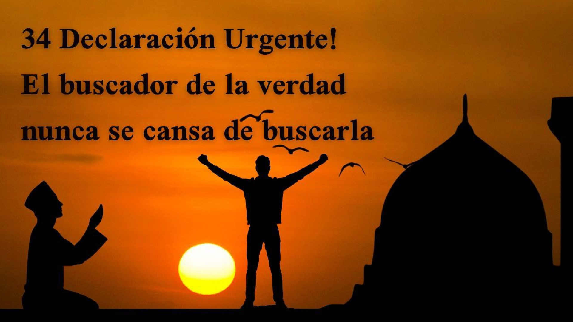 34_   !Declaración Urgente!   El buscador de la verdad nunca se cansa de buscarla ..