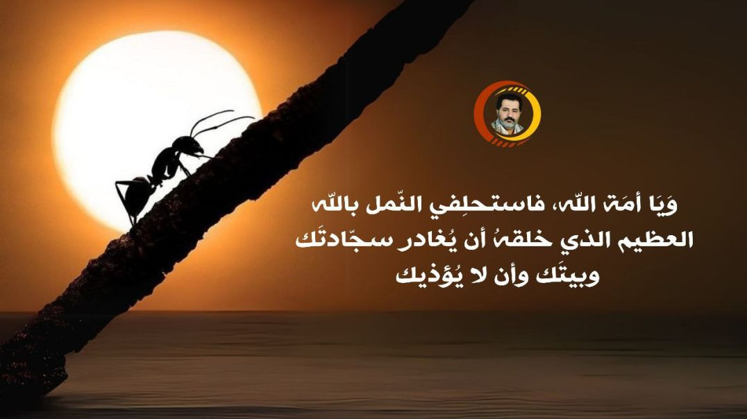 ⁣وَيَا أمَة الله، فاستحلِفي النّمل بالله العظيم الذي خلقهُ أن يُغادر سجّادتَك وبيتَك وأن لا يُؤذيك ..